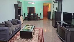 Parc Vista (D22), Condominium #559380641